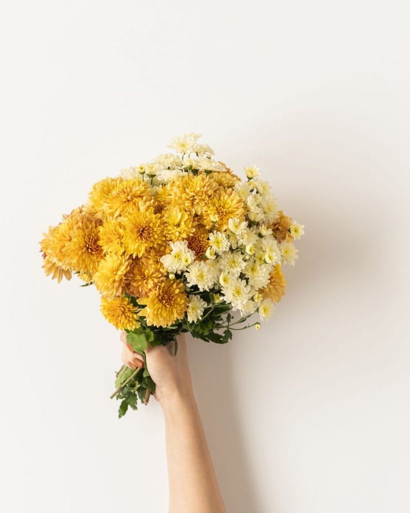 AzubiStolz Selbstlern-Onlinekurse für KMUs